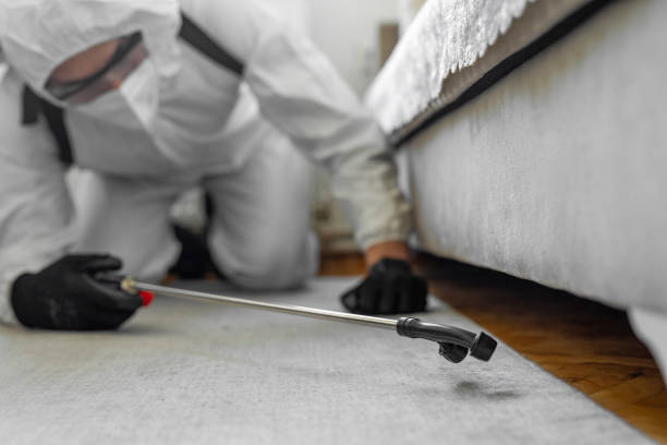 Professional Cockroach Control technician working in Huntington Bay, NY
